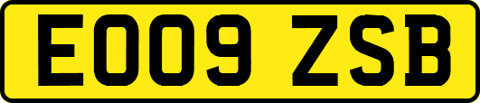 EO09ZSB