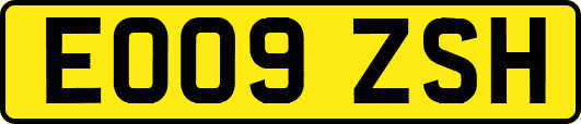 EO09ZSH