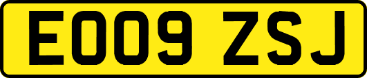 EO09ZSJ