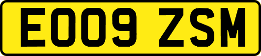 EO09ZSM