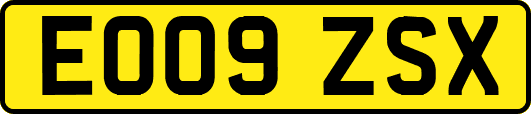 EO09ZSX