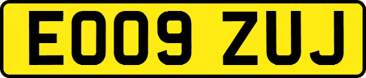 EO09ZUJ