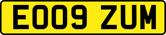 EO09ZUM