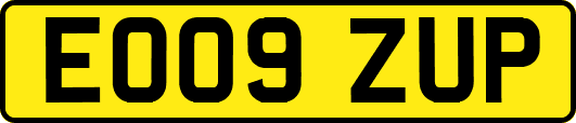 EO09ZUP