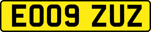 EO09ZUZ