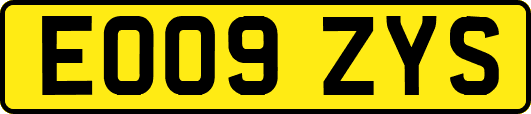 EO09ZYS
