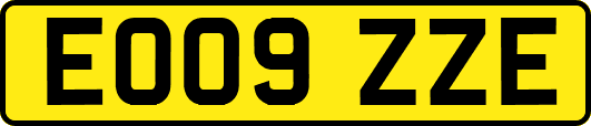 EO09ZZE