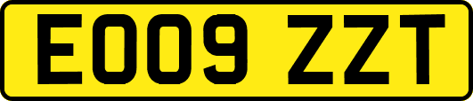 EO09ZZT