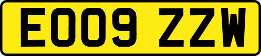 EO09ZZW