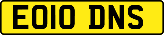 EO10DNS