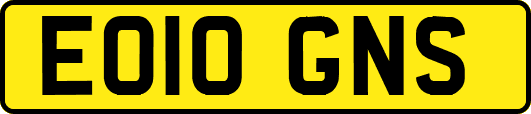EO10GNS