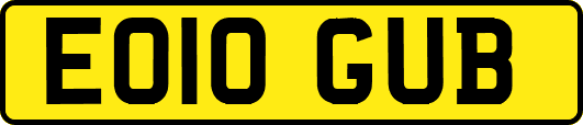 EO10GUB