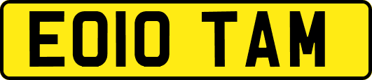EO10TAM