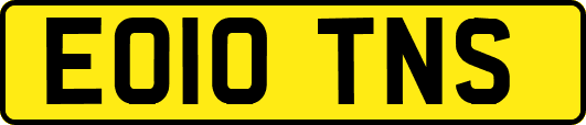 EO10TNS