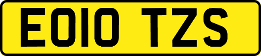 EO10TZS
