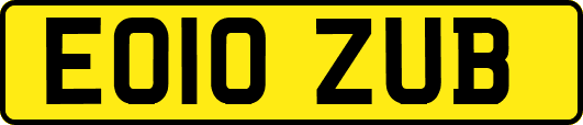 EO10ZUB