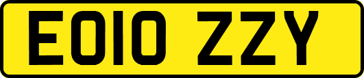 EO10ZZY