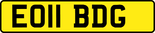 EO11BDG