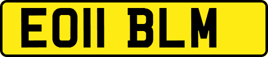 EO11BLM
