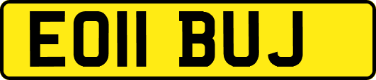 EO11BUJ