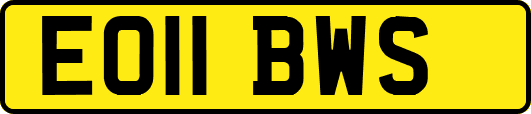 EO11BWS