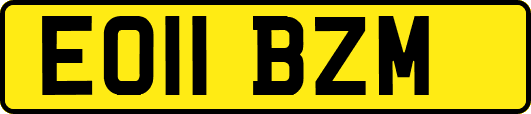 EO11BZM