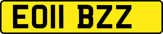 EO11BZZ