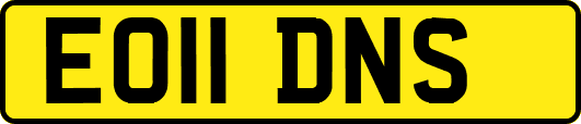 EO11DNS