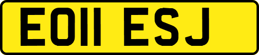 EO11ESJ