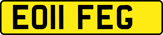 EO11FEG