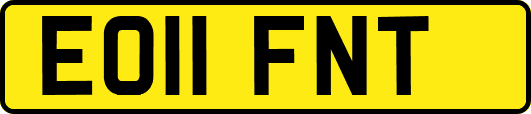 EO11FNT