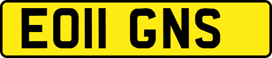 EO11GNS