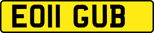 EO11GUB