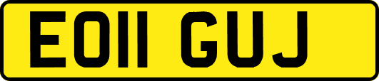 EO11GUJ