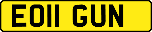 EO11GUN