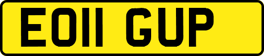 EO11GUP