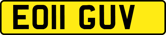 EO11GUV
