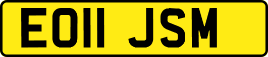 EO11JSM