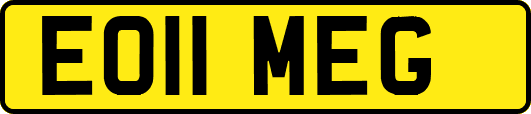 EO11MEG