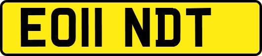 EO11NDT