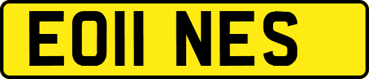 EO11NES
