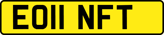 EO11NFT