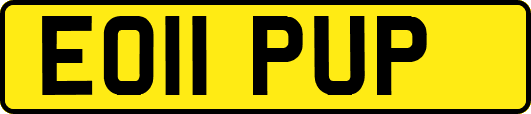 EO11PUP