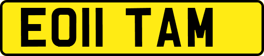 EO11TAM