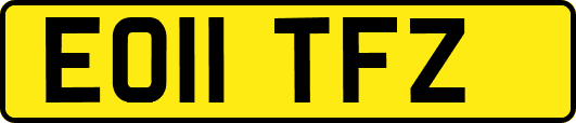EO11TFZ