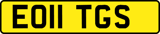 EO11TGS