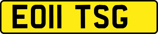 EO11TSG