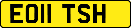 EO11TSH