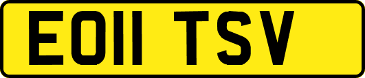 EO11TSV