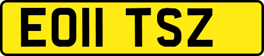 EO11TSZ